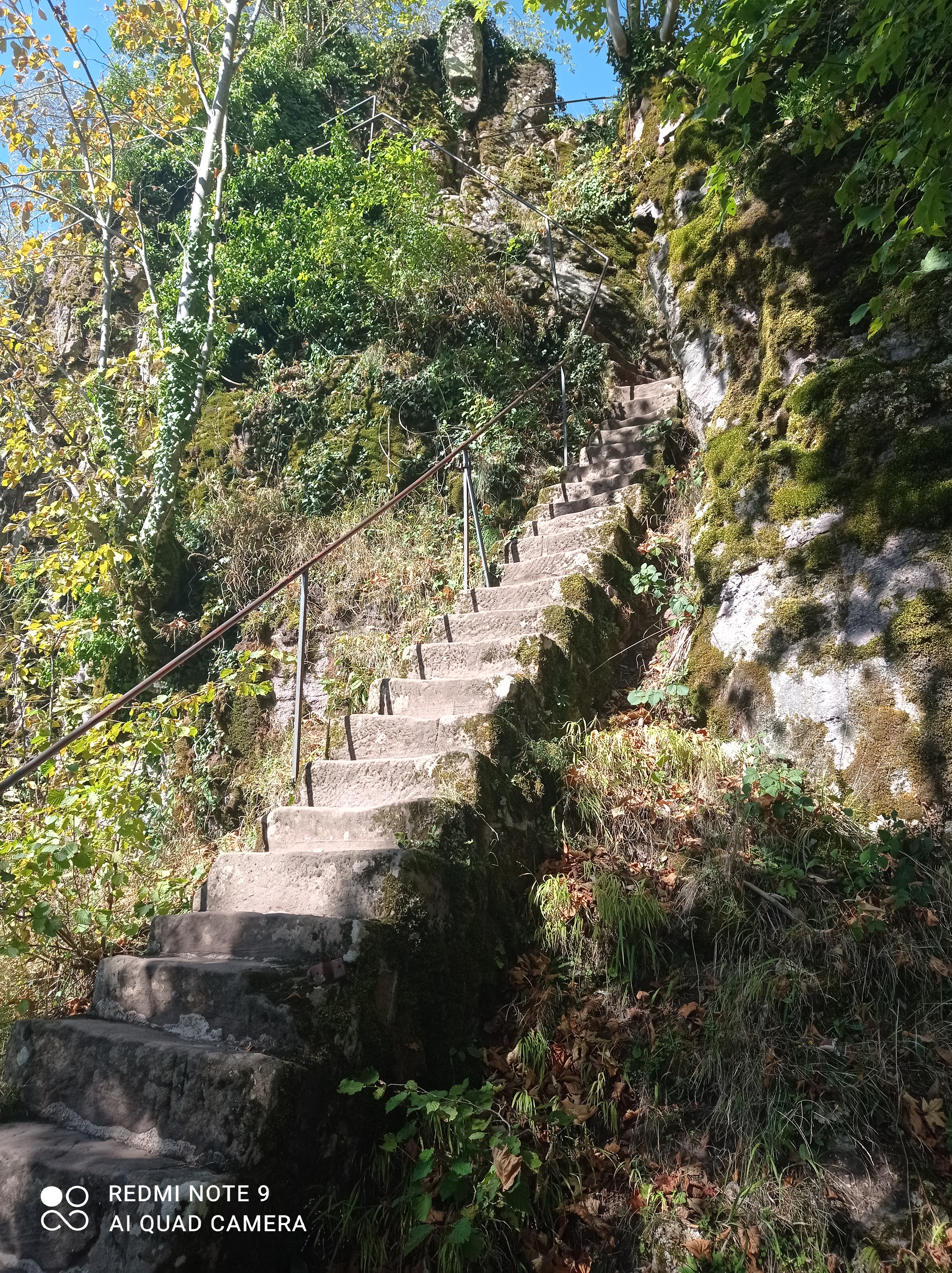 Photo n° 4 de l'avis de Florian.u fait le 25/09/2023 à 13:11