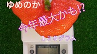 観光農園ひだか