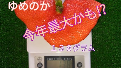 観光農園ひだか