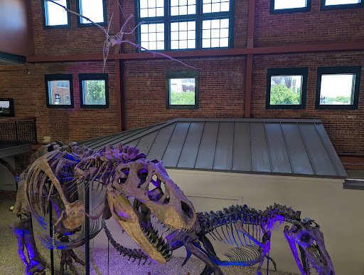 Museum «Museum of World Treasures», reviews and photos, 835 E 1st St N, Wichita, KS 67202, USA