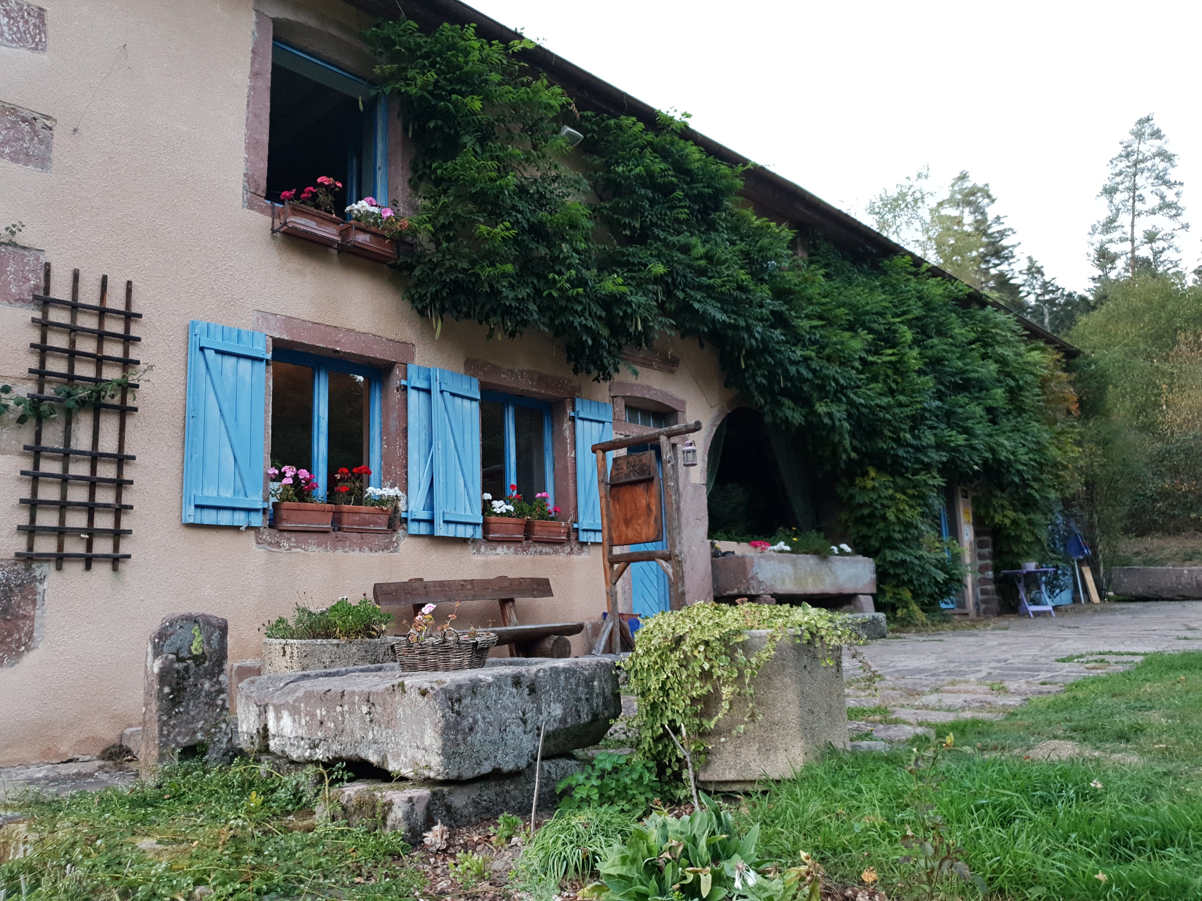 Photo n° 2 de l'avis de Vincent.u fait le 16/10/2018 à 19:42