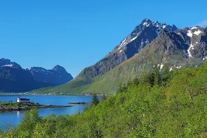 Austnesfjorden image