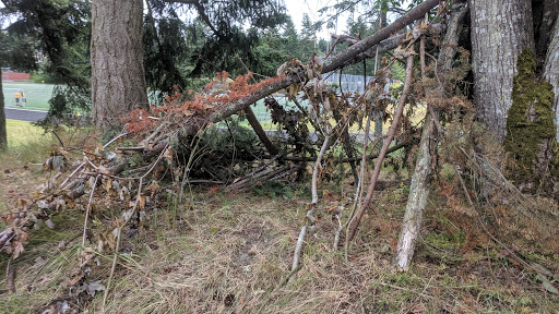 Park «Sacajawea Park», reviews and photos, 1401 S Dash Point Rd, Federal Way, WA 98003, USA