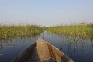 Okavango River image