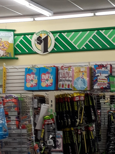 Dollar Store «Dollar Tree», reviews and photos, 3236 Orchard Lake Rd, West Bloomfield Township, MI 48324, USA