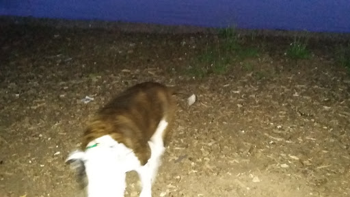 Park «Lemon Creek Park», reviews and photos, Hylan Blvd, Staten Island, NY 10309, USA