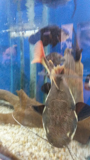 Pet Store «Pets Plus - Quakertown», reviews and photos, 117 S West End Blvd, Quakertown, PA 18951, USA