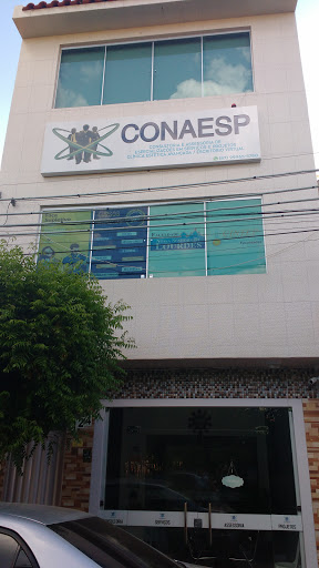 CONAESP (Consultoria e Assessoria de Especialização em Serviços e Projetos)