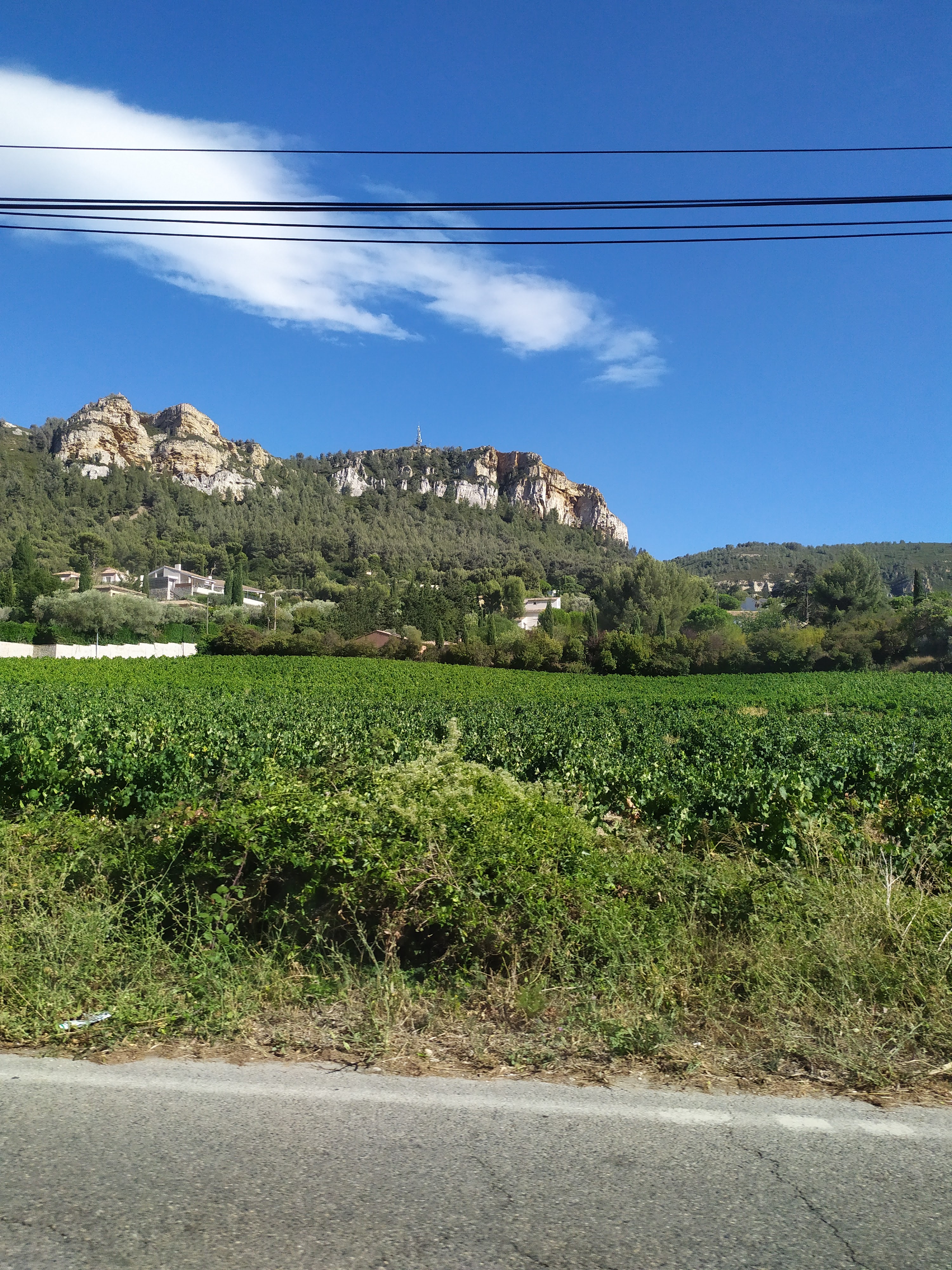 Photo n° 3 de l'avis de Conqueasiesque. fait le 17/08/2023 à 11:52