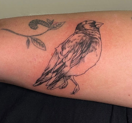 Explore fantasy book tattoo ideas, creative tattoo ideas in Spokane, available at Feel Good Ink