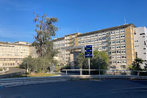 Policlinico Universitario Agostino Gemelli