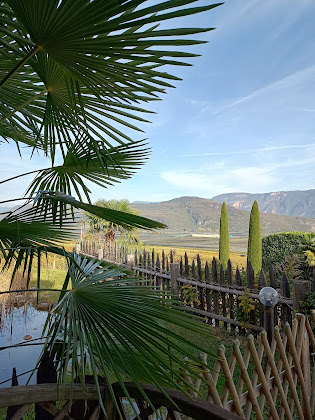Photo Hébergement d'intérieur Weinberghof Bellutti 39040 Tramin an der Weinstraße