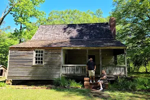 Jarrell Plantation State Historic Site image