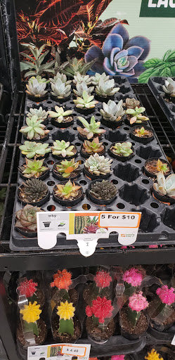 Home Improvement Store «The Home Depot», reviews and photos, 1100 S Claiborne Ave, New Orleans, LA 70125, USA