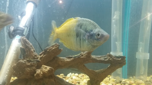 Pet Store «Pet Kingdom», reviews and photos, 2302 Central Ave, Kearney, NE 68847, USA