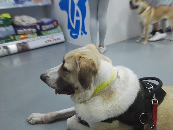 Clínica Veterinaria Armilla