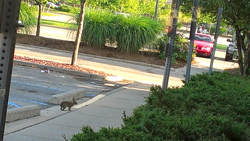 Shopping Mall «Arborland Center», reviews and photos, 3600 Washtenaw Ave, Ann Arbor, MI 48104, USA