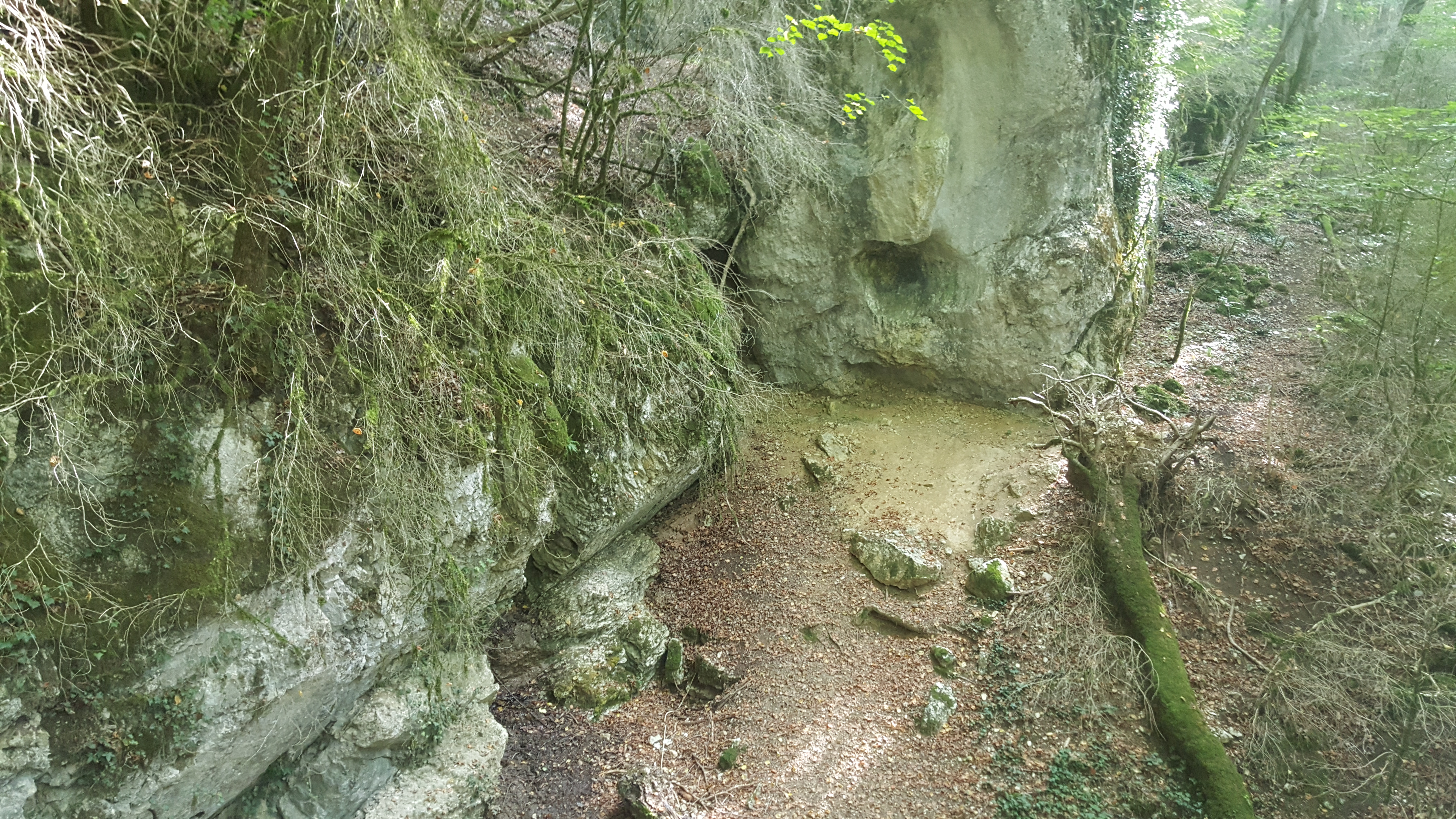 Photo n° 27 de l'avis de Vivi.o fait le 10/09/2018 à 07:44