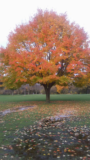 Golf Course «Edgebrook Golf Course», reviews and photos, 6100 N Central Ave, Chicago, IL 60646, USA