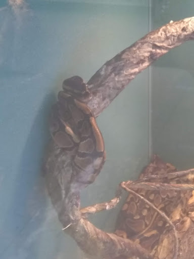 Pet Supply Store «Pet Supplies Plus», reviews and photos, 508 E Stroop Rd, Kettering, OH 45429, USA