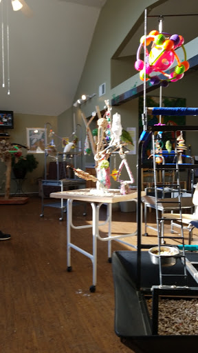 Bird Shop «Parrot & Bird Emporium Inc», reviews and photos, 360 N Westfield St, Feeding Hills, MA 01030, USA