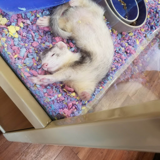 Pet Supply Store «Pet Supermarket, Inc.», reviews and photos, 9579 Bill Arp Rd #21, Douglasville, GA 30135, USA