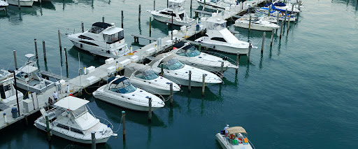 Auto Insurance Agency «Omega Insurance Agency», reviews and photos