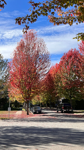 ??????????, 3329 McTavish Ct, Coquitlam, BC V3E 2Z7