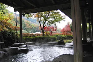 Kogome no Yu Onsen image