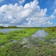 Alachua Lake Overlook - La Chua Trail