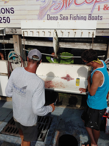 Sightseeing Tour Agency «Southern Star Dolphin Cruises», reviews and photos, 100 Harbor Blvd, Destin, FL 32541, USA