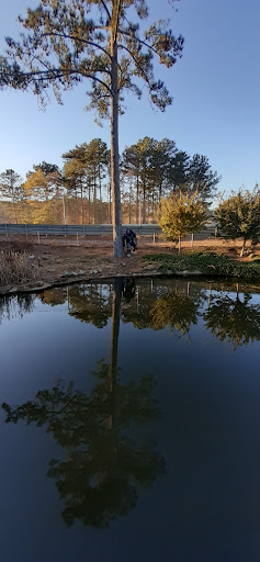 Museum «Barber Vintage Motorsports Museum», reviews and photos, 6030 Barber Motorsports Pkwy, Leeds, AL 35094, USA