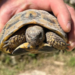 Photo n°21 de l'avis de Maik.u fait le 23/11/2023 à 16:25 sur le  Agriturismo La Quercia à Pietrasecca