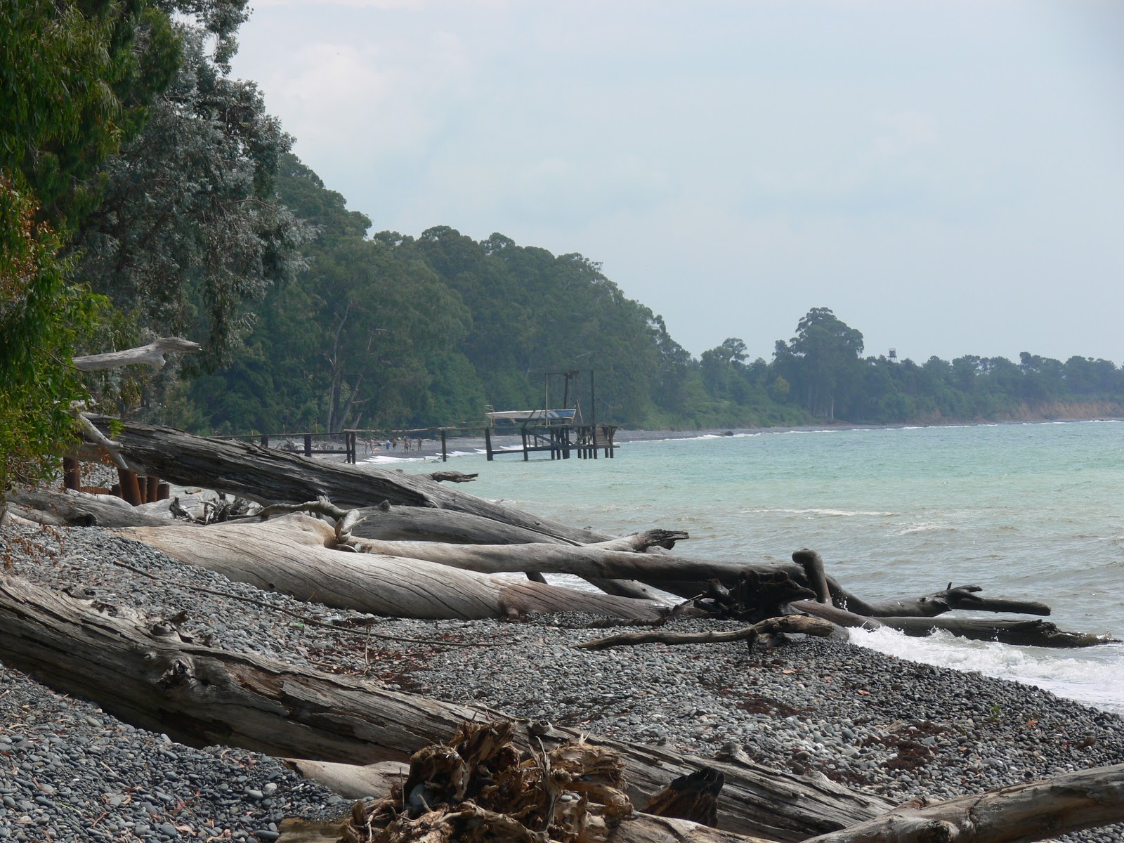 Foto av Tskurgili beach med long bay