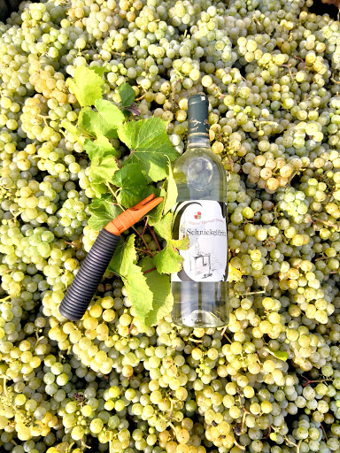 Vineyard «Millner Heritage Vineyard & Winery», reviews and photos, 32025 MN-15, Kimball, MN 55353, USA