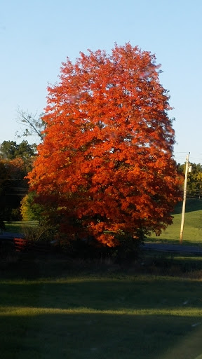 Amusement Center «The Castle Fun Center», reviews and photos, 109 Brookside Ave, Chester, NY 10918, USA