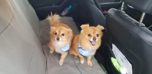 Pet Supply Store «Petco Animal Supplies», reviews and photos, 1622 Clark Street Rd, Auburn, NY 13021, USA