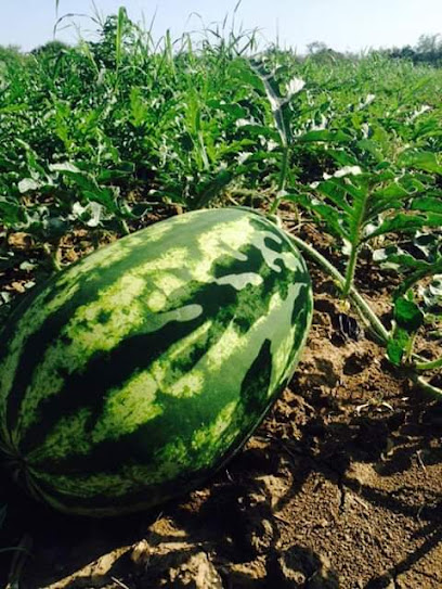 Cano Productos Agrícolas