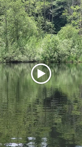 Park «Scriber Lake Park», reviews and photos, 5601 198th St SW, Lynnwood, WA 98036, USA