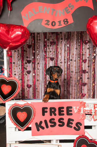 Pet Supply Store «Pet Pros Milton», reviews and photos, 900 Meridian Ave E, Milton, WA 98354, USA