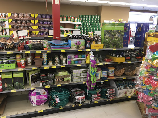 Grocery Store «Grocery Outlet Bargain Market», reviews and photos, 52115 SW Chinook Plaza, Scappoose, OR 97056, USA