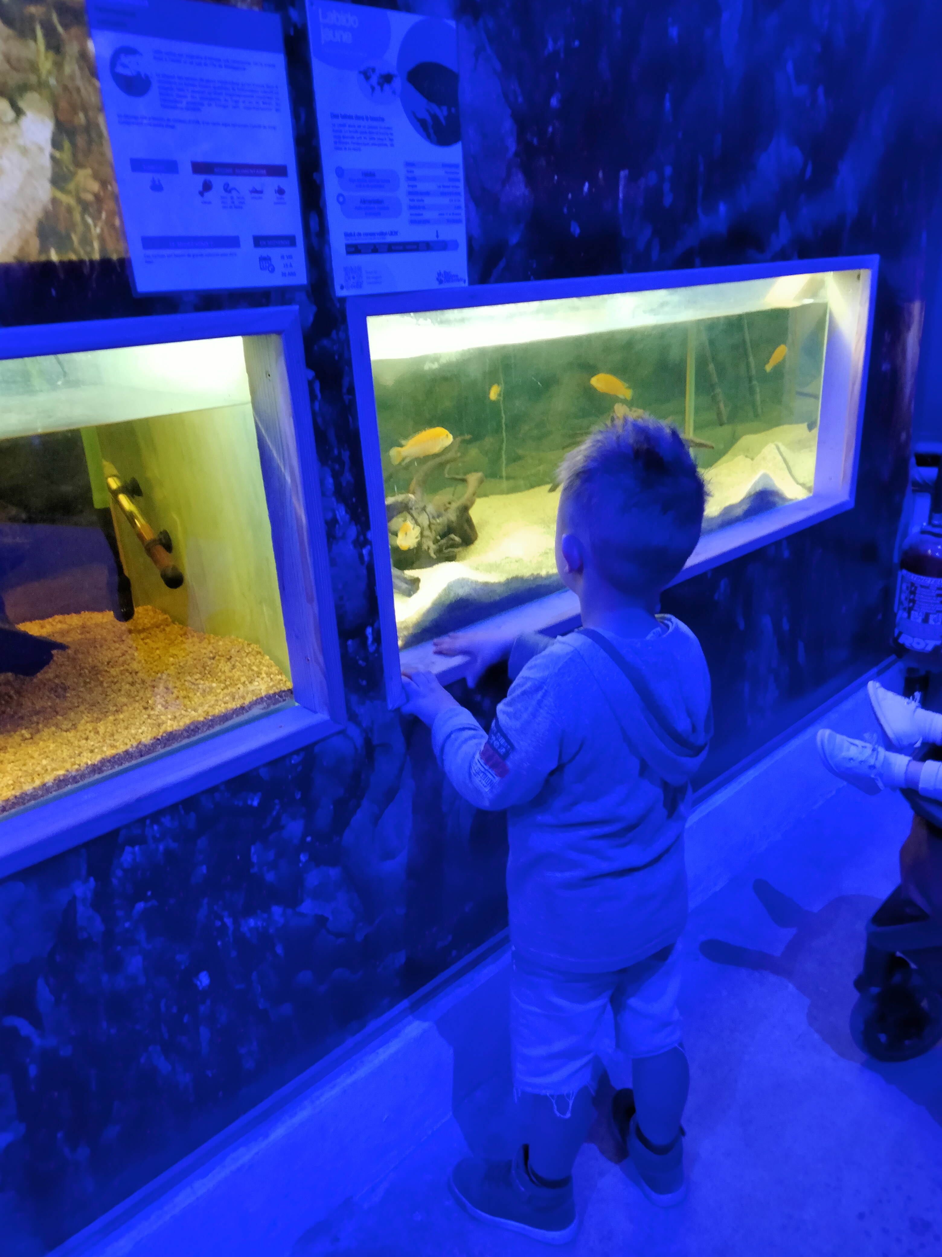 Photo n° 6 de l'avis de Jeremy-Claire.I fait le 29/08/2023 à 20:17