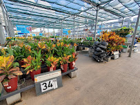 Lowe's Garden Center - Photo 8 - Car repair in Bryan, TX, College Station