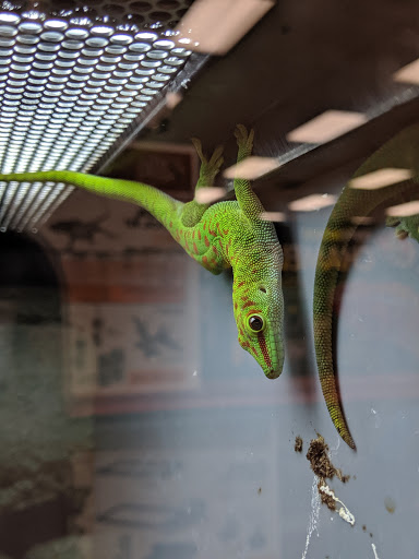 Pet Supply Store «Petco Animal Supplies», reviews and photos, 4345 U.S. 9, Freehold, NJ 07728, USA