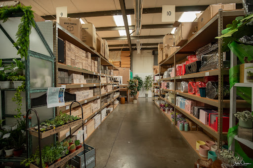 Florist «Sequoia Floral International», reviews and photos, 3245 Santa Rosa Ave, Santa Rosa, CA 95407, USA