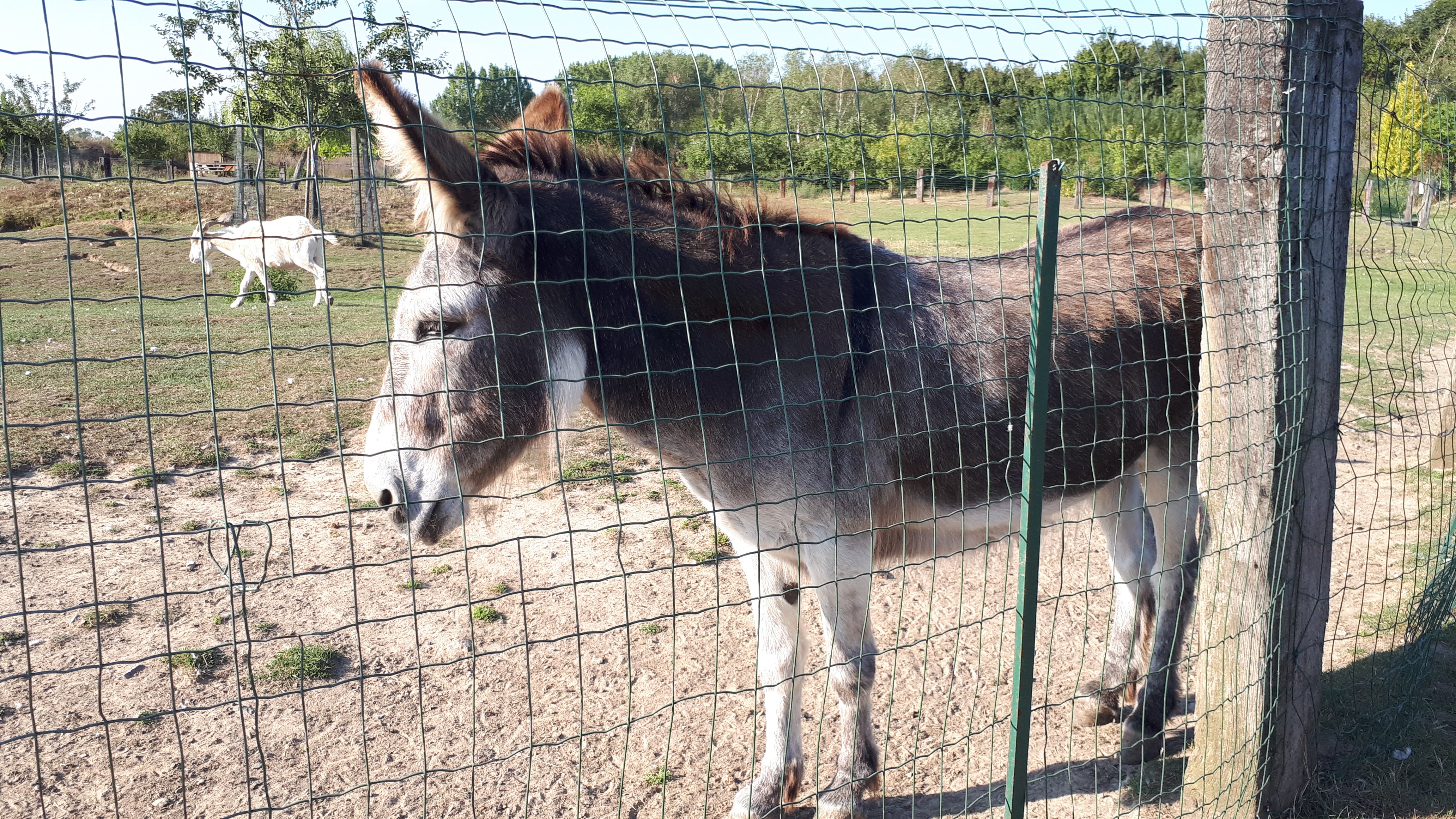 Photo n° 26 de l'avis de Sylvie.u fait le 26/08/2019 à 16:02
