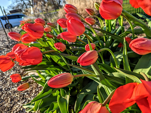 Park «Paulus Park», reviews and photos, 200 S Rand Rd, Lake Zurich, IL 60047, USA