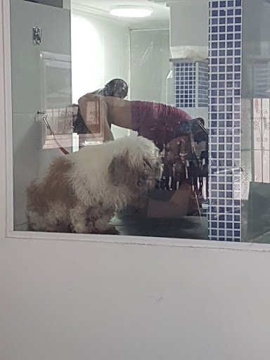 Tricare Clínica Veterinaria e Pet-Shop em São Paulo - SP