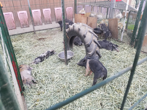 Produce Market «Underwood Family Farms», reviews and photos, 3370 Sunset Valley Rd, Moorpark, CA 93021, USA