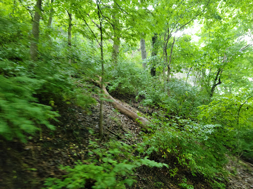 Tourist Attraction «Wabash Frisco & Pacific Railway», reviews and photos, 101 Grand Ave, Glencoe, MO 63038, USA